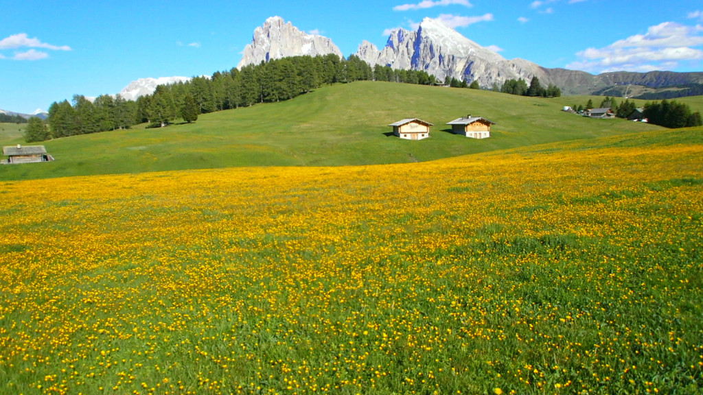 scenérie krajiny Parco Naturale Sciliar Catinaccio