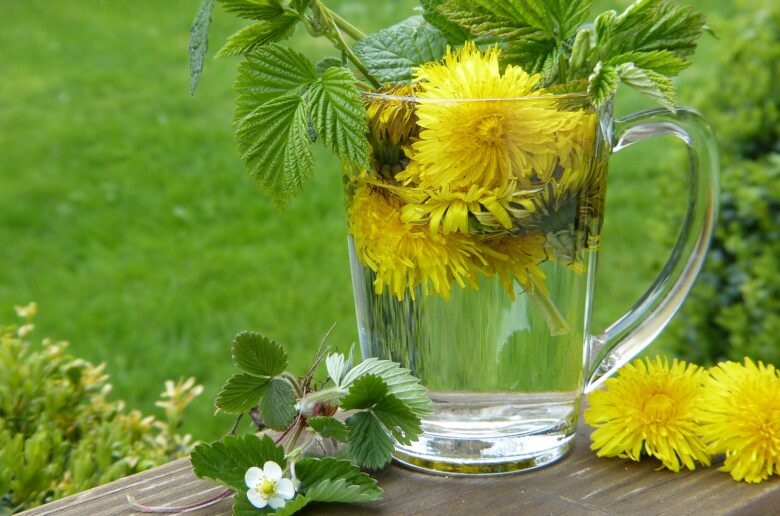 dandelion-2232626_1920