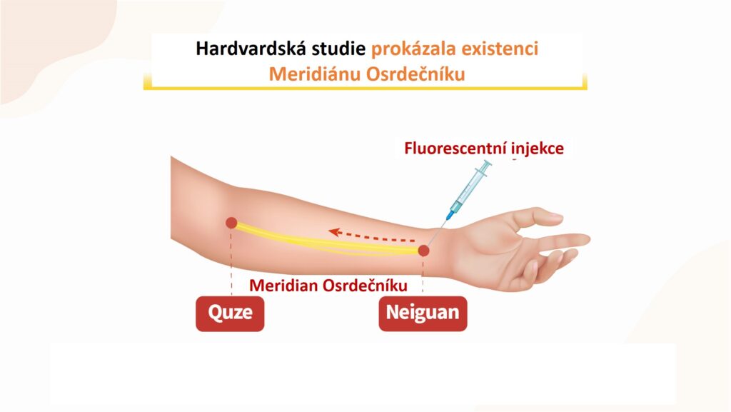 Srdeční problémy 28-letého muže byly vyléčeny během jednoho měsíce