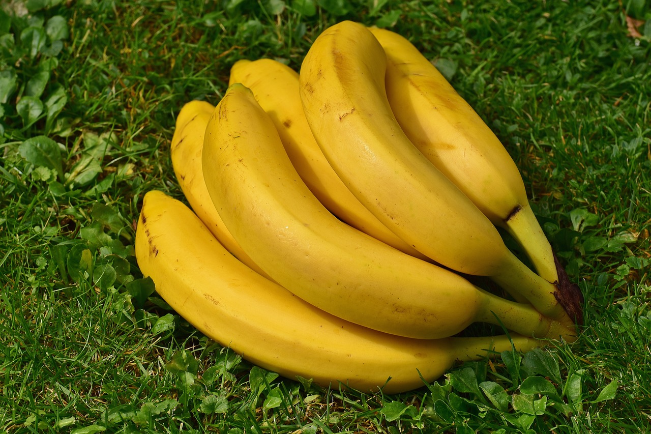 Lahodné a výživné banány nejsou jen zdravou svačinkou, ale jsou také skvělé pro prevenci rakoviny, kardiovaskulárních chorob, ztráty paměti a zmírňují úzkost.