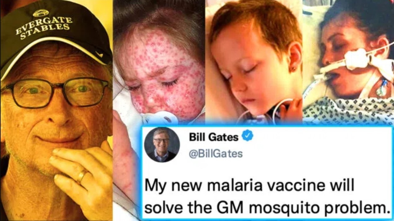 Bill Gates byl přistižen, jak v USA vypouští miliardy infikovaných komárů, a také slíbil, že brzy vyjde vakcína, která podle něj problém nemocných komárů vyřeší.